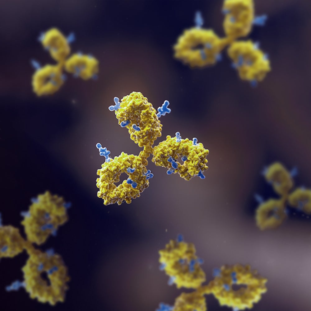 analytical solutions