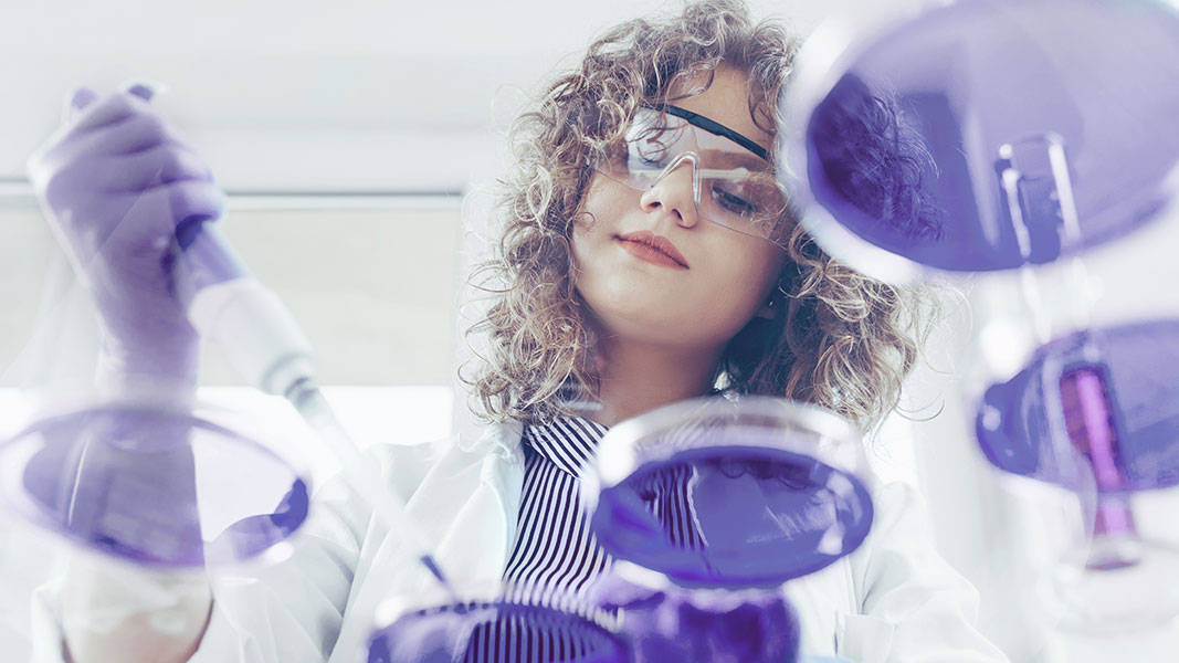 Cell Culture Cell Culture Techniques DH Lifesciences