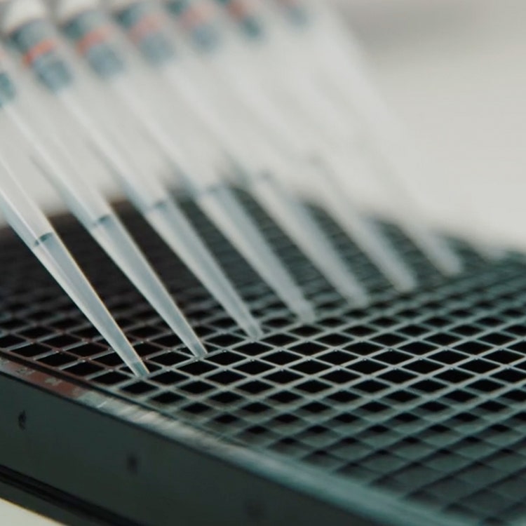 analytical solutions