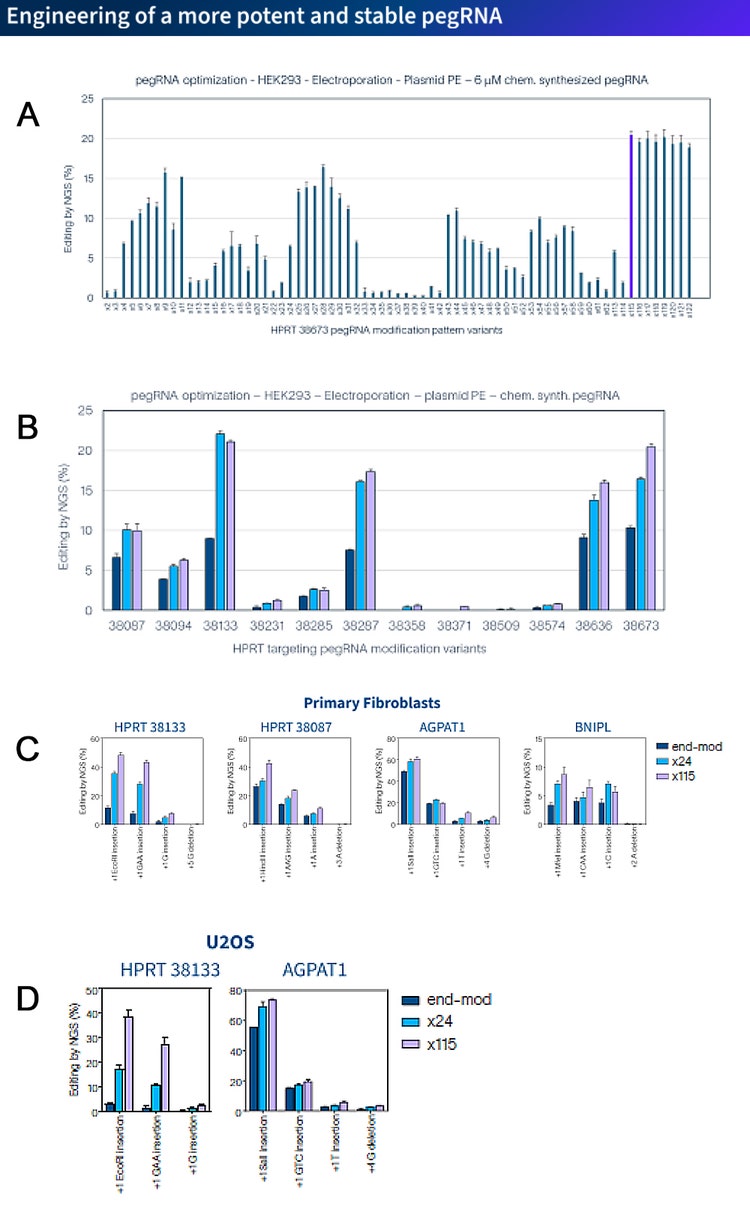 mrna prime editing platform 1