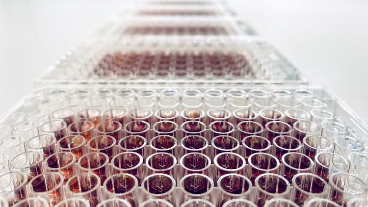 Proteomics Sample Preparation