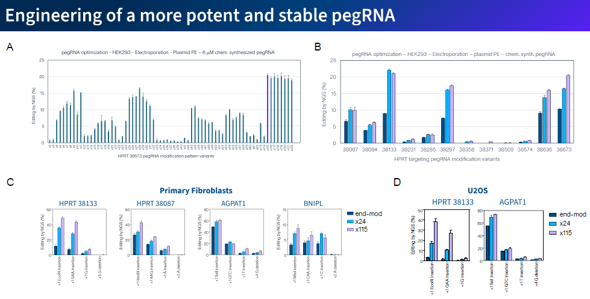 mrna prime editing platform 1