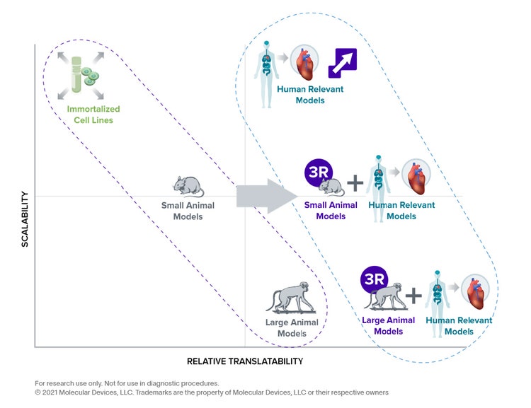 Limitations of Conventional Cell Models