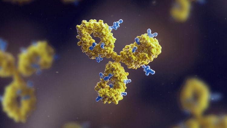 Comprehensive Characterization of ADCs Using EAD Peptide Mapping and icIEF-UV/MS