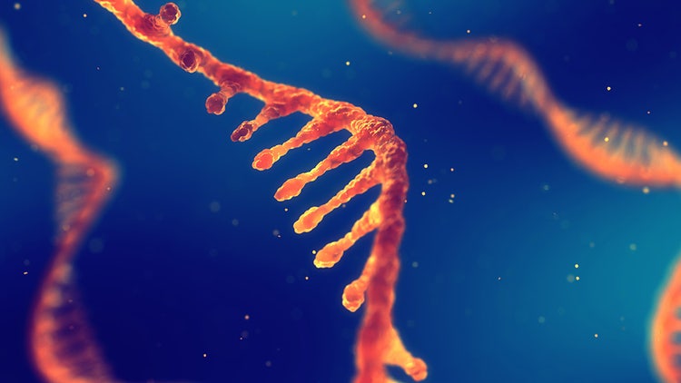 oligo-biotransformation