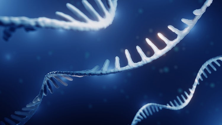 Bridging discovery and manufacturing
