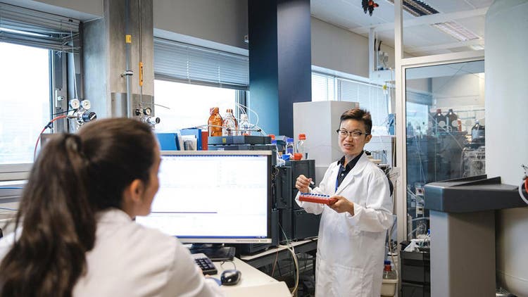 automated mass characterization