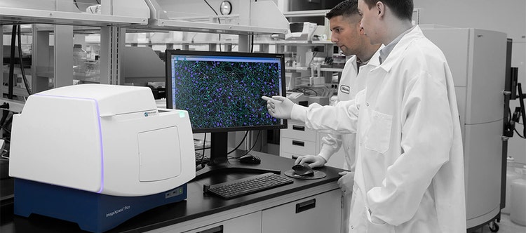 Running a Successful Live Cell Imaging Experiment