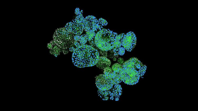 Improving Drug Development