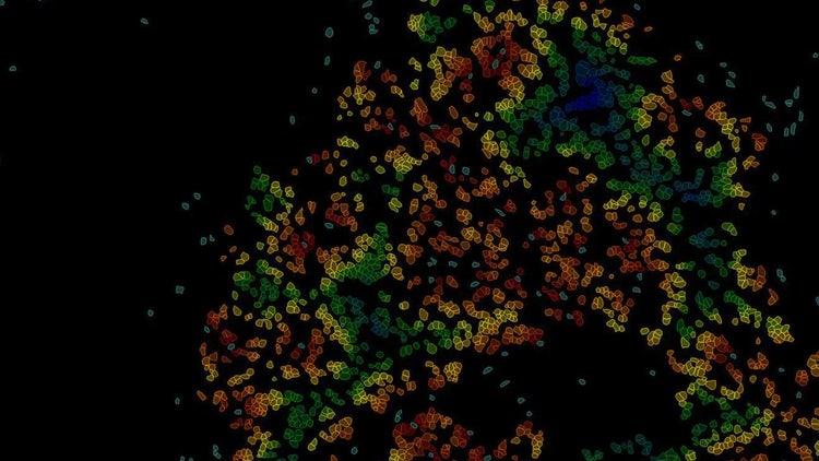 Hrm Leica Microsystems