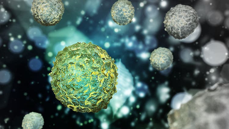65 Years of stem cell transplantation