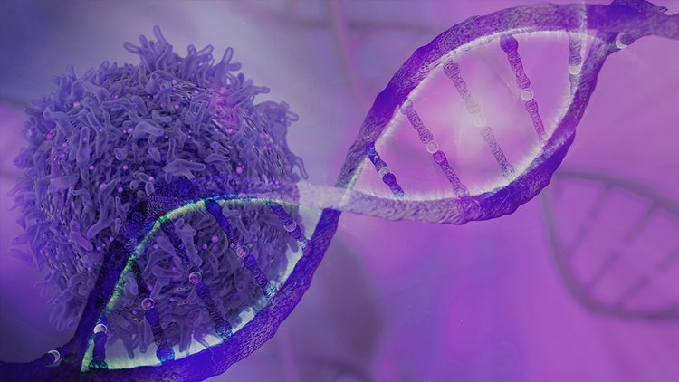 Gene Fusion Detection with NGS in Translational Oncology