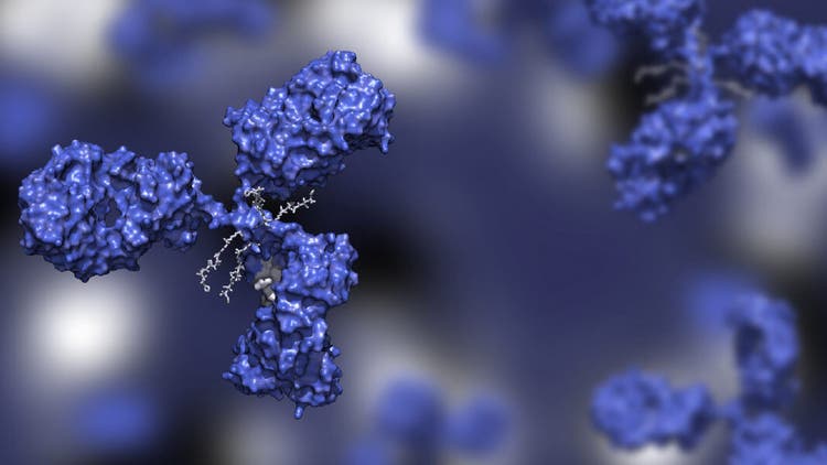 Monoclonal Antibodies