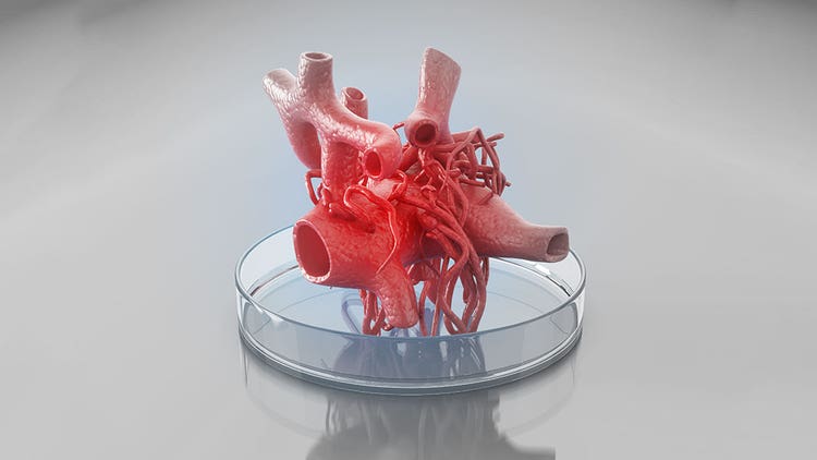 Bioprinting Automation for Drug Discovery