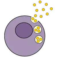 cho-cells