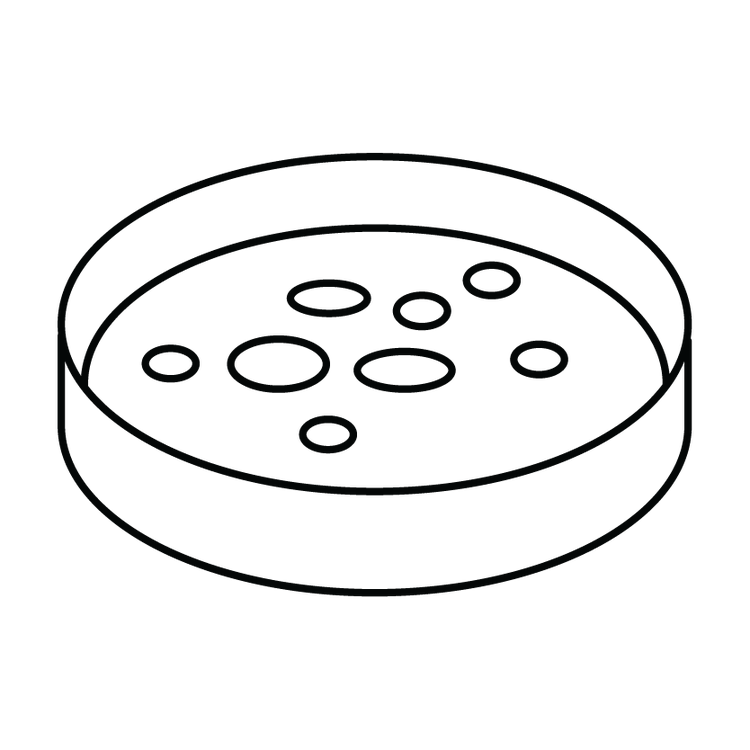 Functional Insight