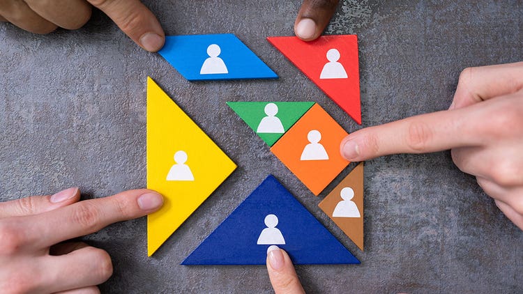 Diversity Drug Development