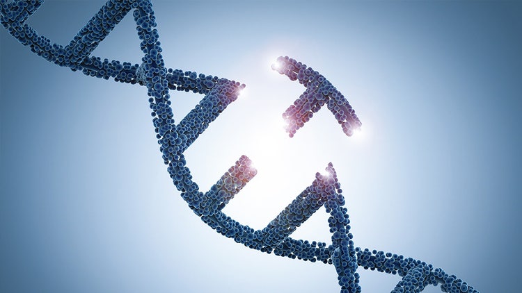 gene editing1