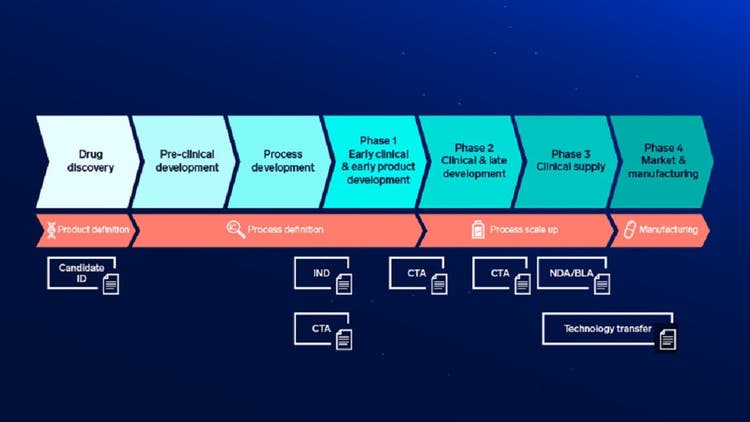 Key Development Stages