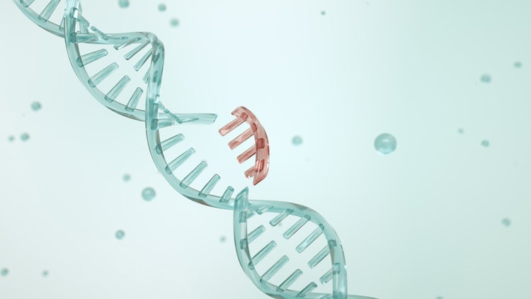 Gene Editing