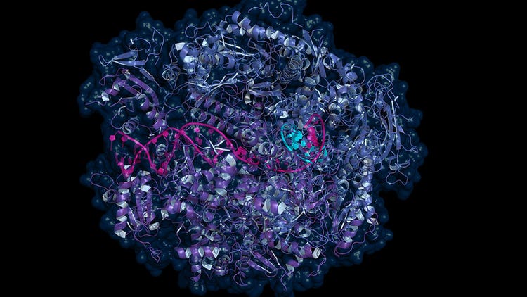 Revolutionizing Proteomics