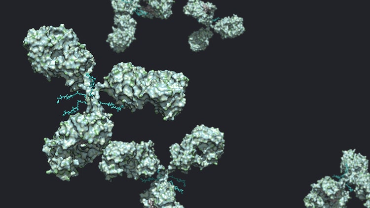 Advancing Antibody