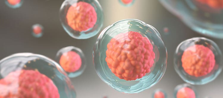 Automated Flow Cytometry Solutions