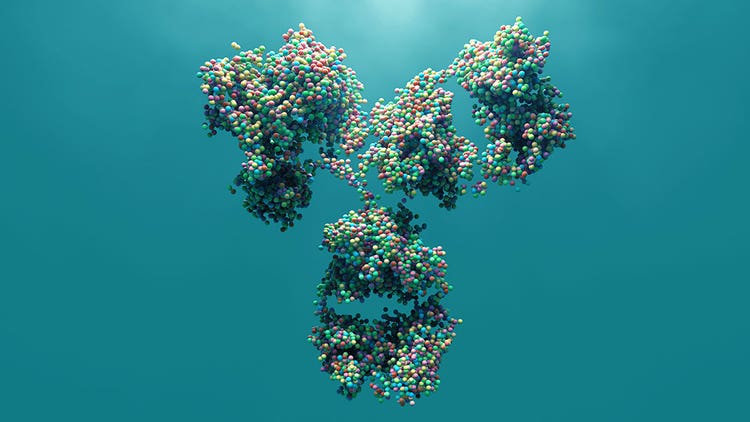 Going beyond the mAb