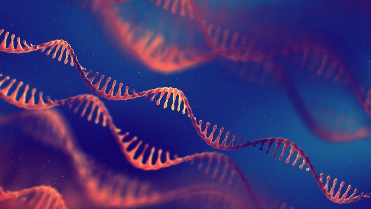 Rna Development