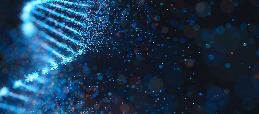 Viral vector analysis for successful targeting