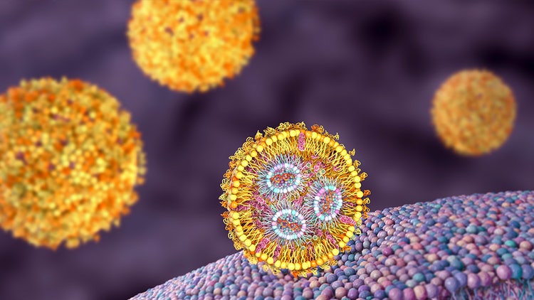 Scaling gene editing delivery through lnps