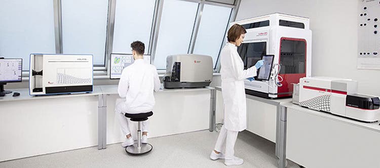 Working in tandem in Pharma Lab