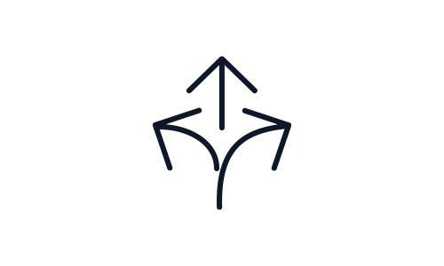 Icon 1