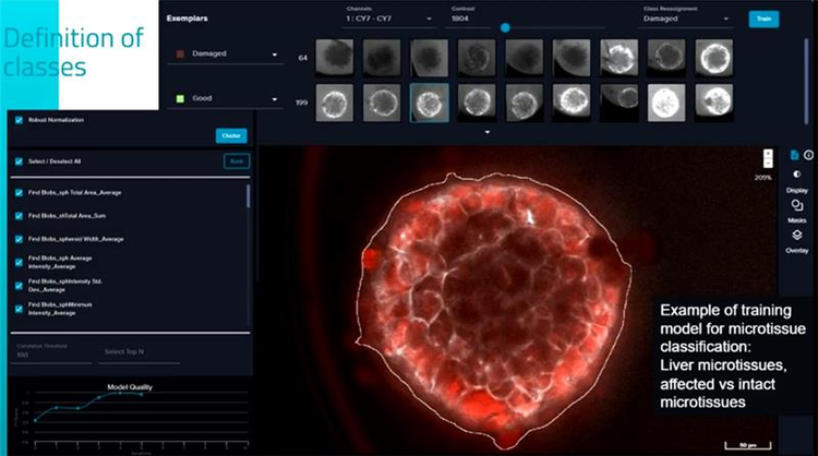 multiparametric-image-analysis