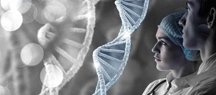 Engineering Biology