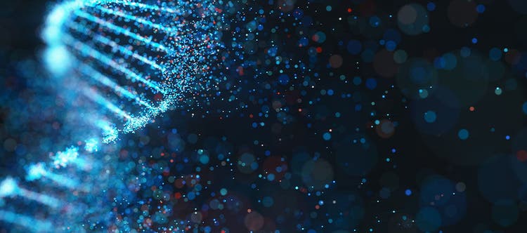 Viral vector analysis for successful targeting