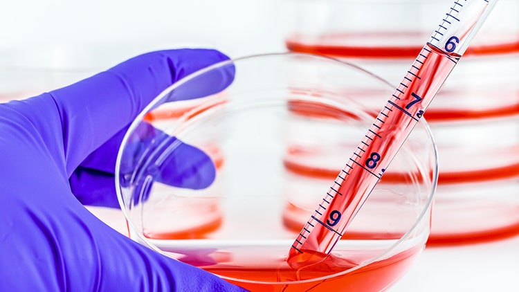 Quantification to Characterization V2