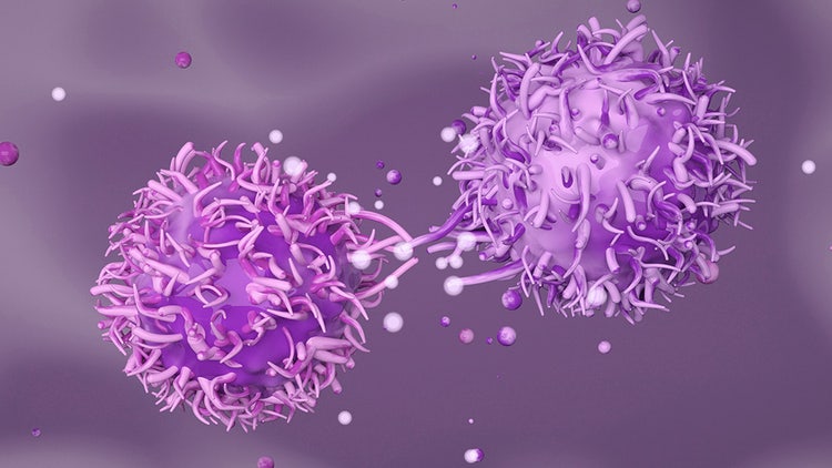 aacr case study