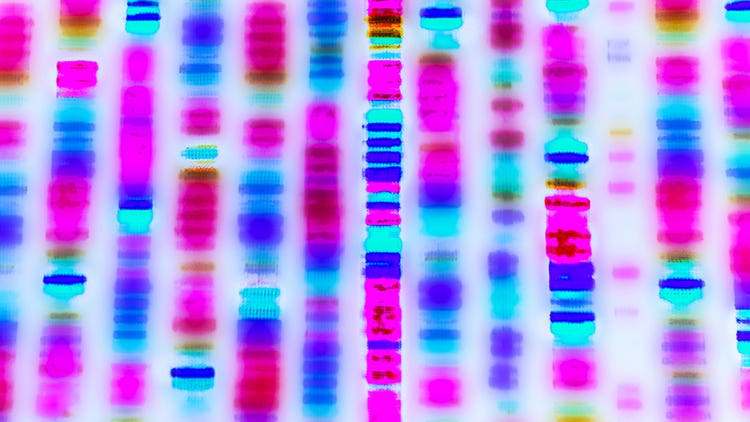Next-Generation Sequencing (NGS)