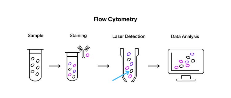 A standard flow cytometry workflow showing the major steps in sequential order. It starts with sample acquisition, then sample staining, sample detection, and finishes with data analysis.