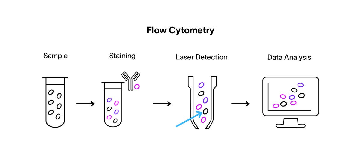 Flow Cytometry Guide: Principles, Applications | Danaher Life Sciences