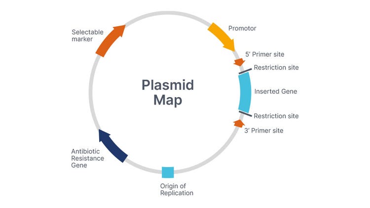 DNA Cloning: Cloning Vectors and Applications