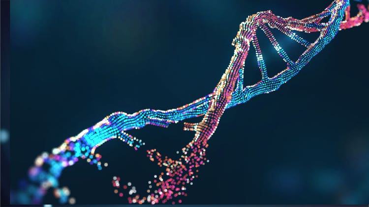 Crispr Cas9