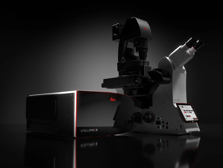 Stellaris 8 microscopes