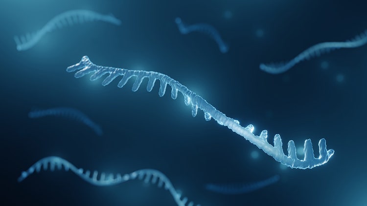 MicroRNA (miRNA) – An Overview