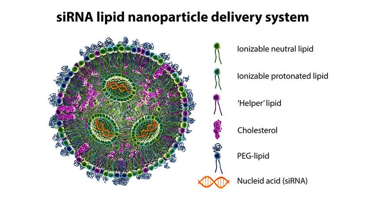 sIRNA Lipid Nanoparticle