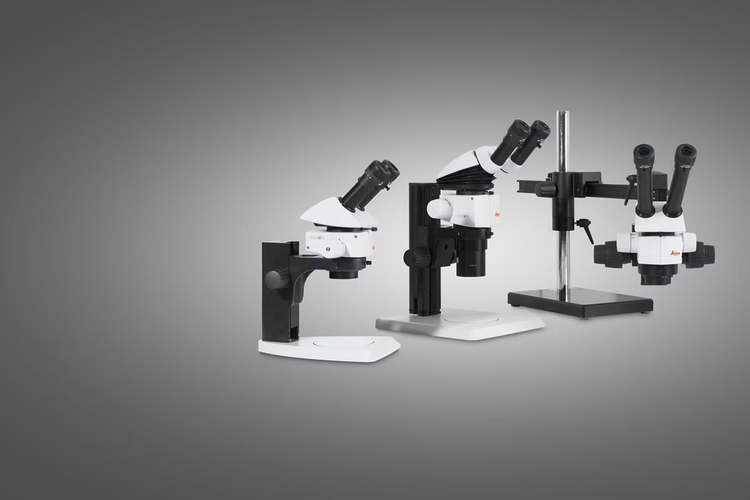 M80 Routine stereo microscopes