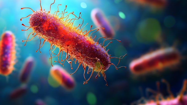 Microbial Sequencing