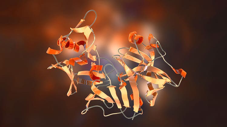 Proteomics