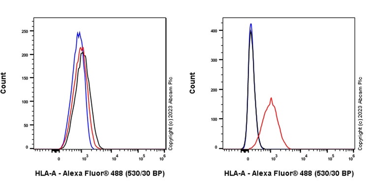 Hla class 1 abc antibody